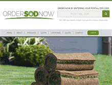 Tablet Screenshot of ordersodnow.com